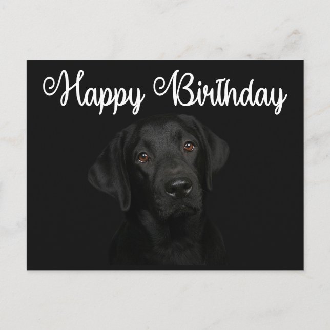 Happy Birthday Black Labrador Retriever Puppy Dog Postcard (Front)
