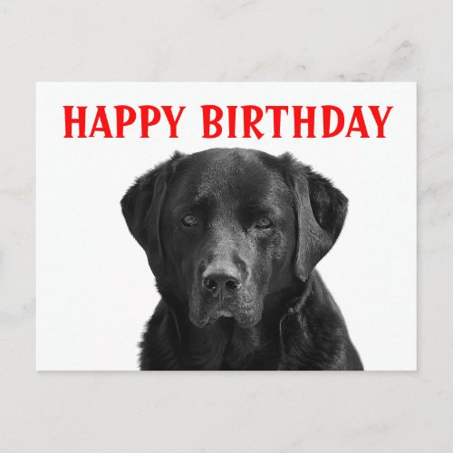 Happy Birthday Black Labrador Retriever Puppy Dog Postcard