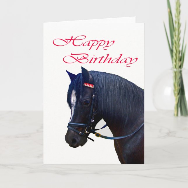Happy Birthday , Black Welsh Pony. Card (Front)
