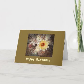 Happy Birthday Blooming Cactus Template Card by bluerabbit at Zazzle