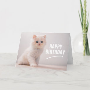 Happy Birthday   Blue Eye Kitten Card
