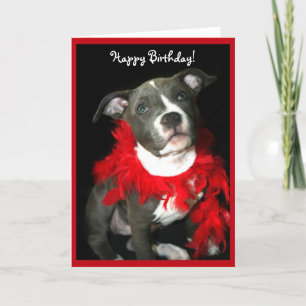 Happy Birthday Blue Pitbull Puppy greeting card