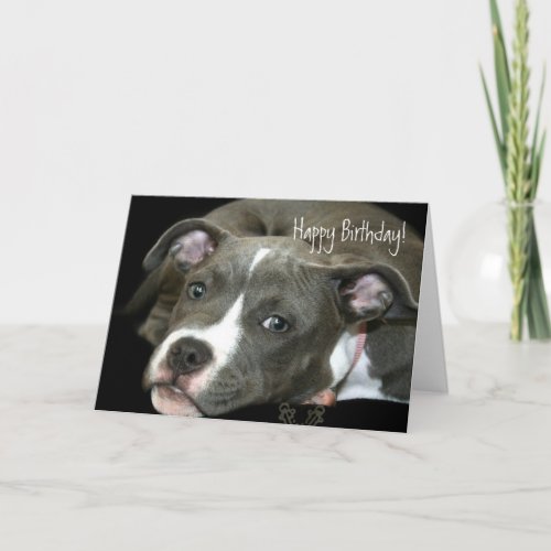 Happy Birthday Blue Pitbull Puppy greeting card