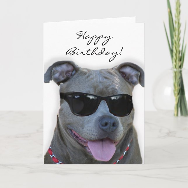 Happy Birthday Blue pitbull with glasses card (Front)