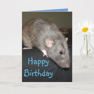 Happy Birthday! Blue rat Card