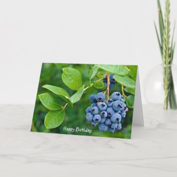 Happy Birthday Blueberry Bunch On Bush Card by dryfhout at Zazzle