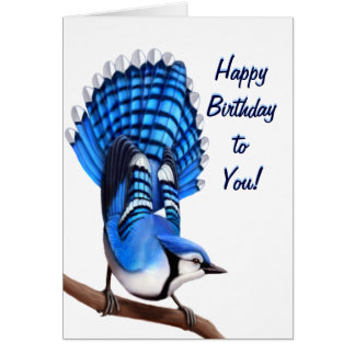 happy_birthday_bluejay_bird_card-r073c460daf764c2ba813c704cee8f2d7_xvuat_8byvr_324.jpg