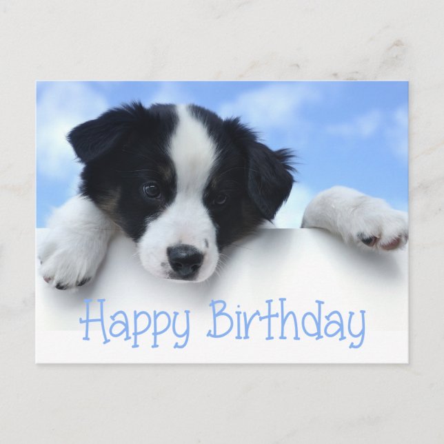 Happy Birthday Border Collie Puppy Dog Post Card (Front)