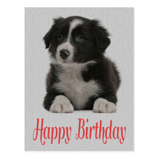 Happy Birthday Black And White Postcards | Zazzle