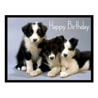 Happy Birthday Black And White Postcards | Zazzle