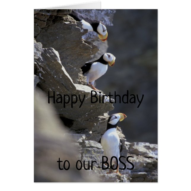 Happy Birthday Boss Cute Puffin Birds Animal Humor (Front)