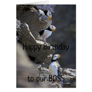 Happy Birthday Boss Cute Puffin Birds Animal Humor Cards