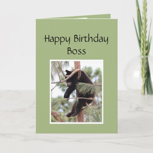Happy Birthday Boss Funny Bear Animal