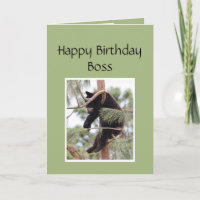 Happy Birthday Boss Funny Bear Animal