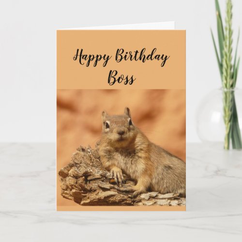 Happy Birthday Boss Funny Squirrel Relax Card