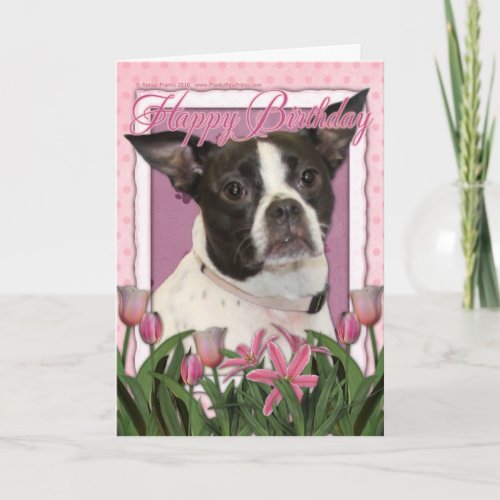 Happy Birthday _ Boston  Rat Terrier _ Jazy Card