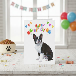 Happy Birthday Boston Terrier Balloons and Banner Card