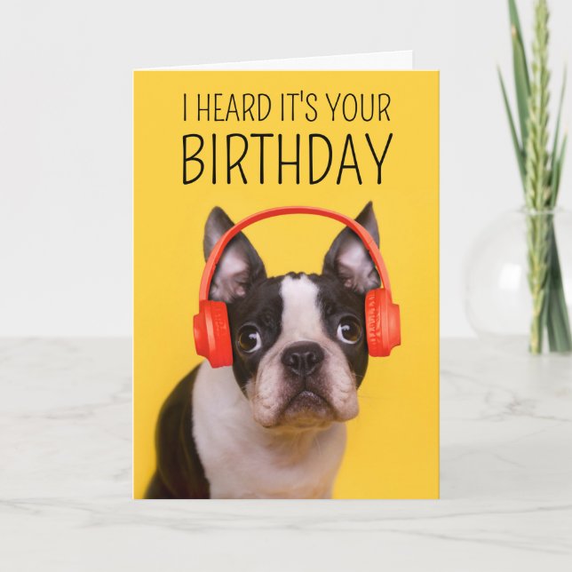 Happy Birthday | Boston Terrier Card (Front)
