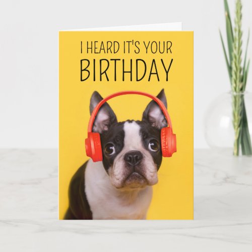 Happy Birthday  Boston Terrier Card