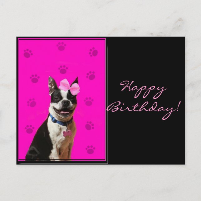 Happy Birthday Boston Terrier Postcard (Front)