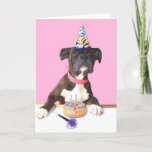 Happy Birthday Boxer dog greeting card