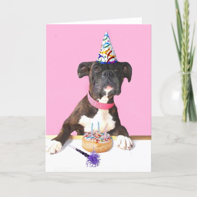 colour illus insert PERSONALISED WHITE BOXER DOG BIRTHDAY CARD Glossy A5 size 