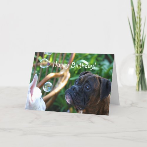 Happy Birthday Boxer dog greeting card