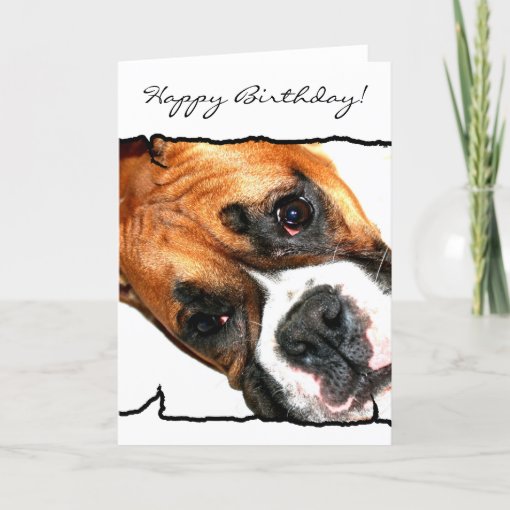Happy Birthday Boxer dog greeting card Zazzle