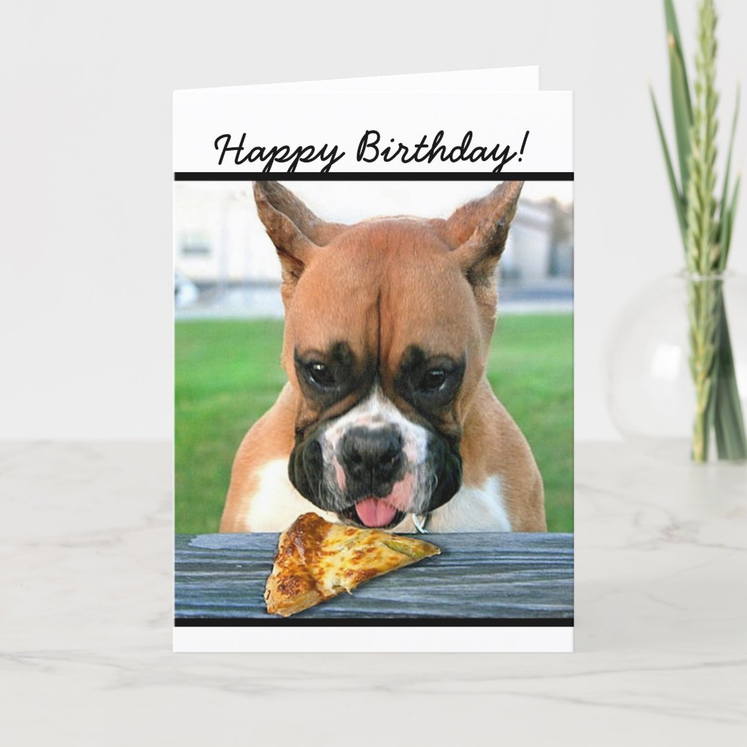 Happy Birthday boxer dog greeting card Zazzle