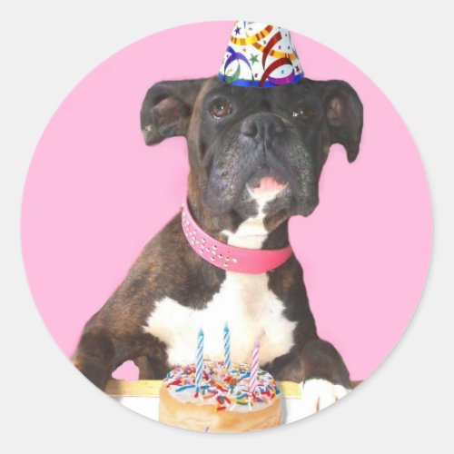 Happy Birthday Boxer dog stickers