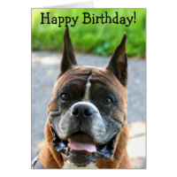 Happy Birthday Boxer greeting card