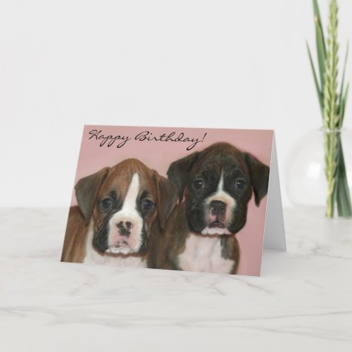 Happy Birthday Boxer Puppies greeting card