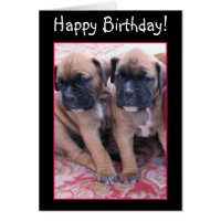 Happy Birthday Boxer puppies greeting card