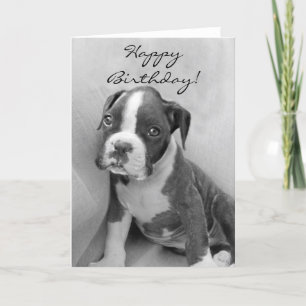 Happy Birthday Boxer puppy Card
