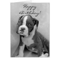 Happy Birthday Boxer puppy Card