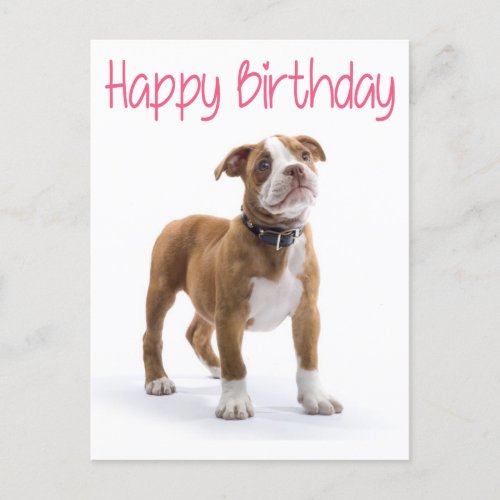 Happy Birthday Boxer Puppy Dog  Postard Postcard