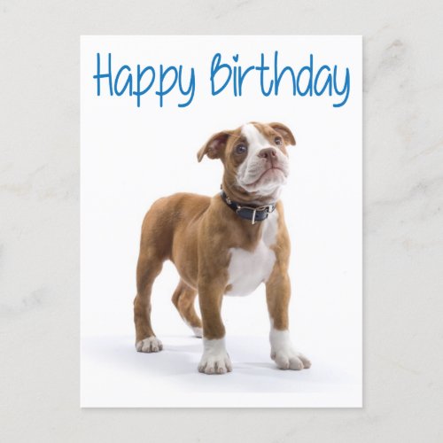 Happy Birthday Boxer Puppy Dog  Postard Postcard