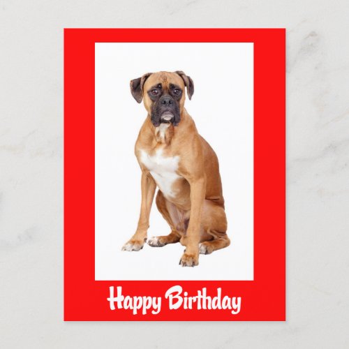 Happy Birthday Boxer Puppy Dog Red Postcard