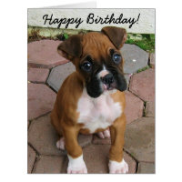 Happy Birthday Boxer puppy greeting card