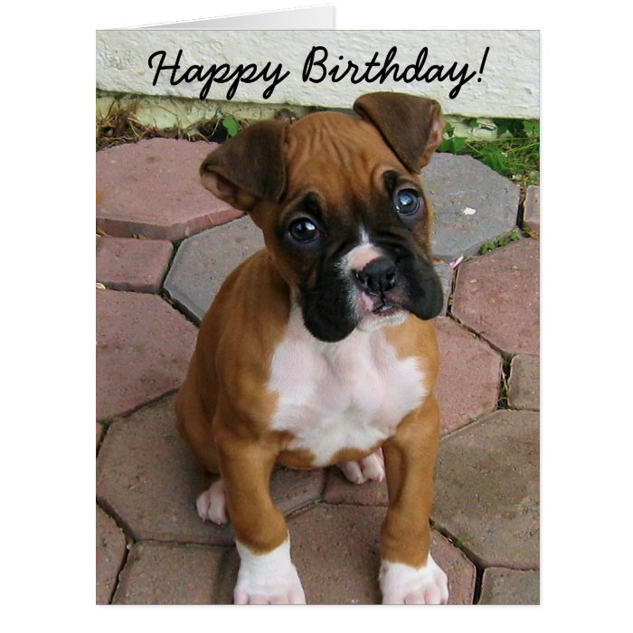 Happy Birthday Boxer puppy greeting card | Zazzle