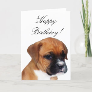 Happy Birthday Boxer puppy greeting card