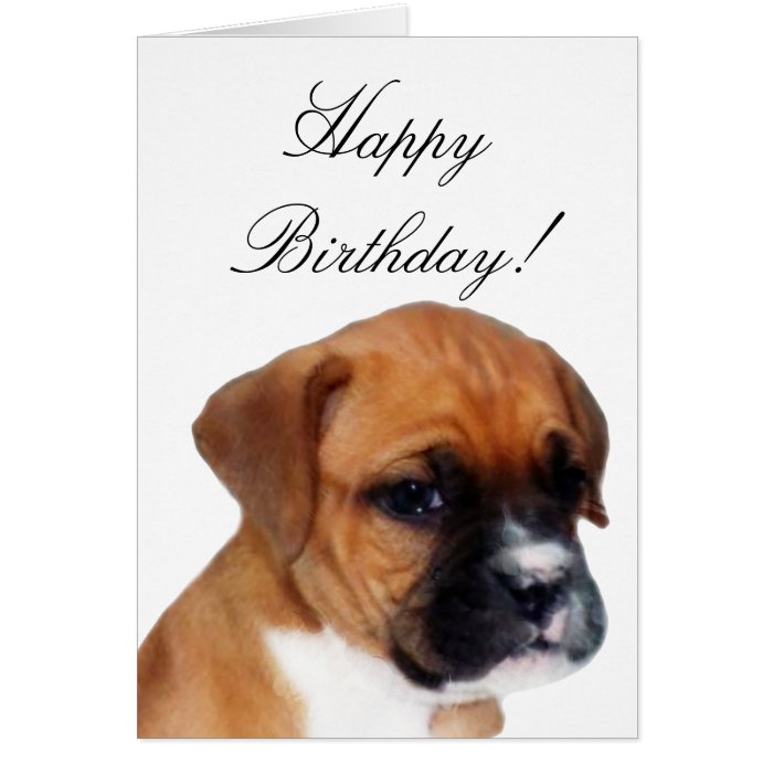 Happy Birthday Boxer puppy greeting card