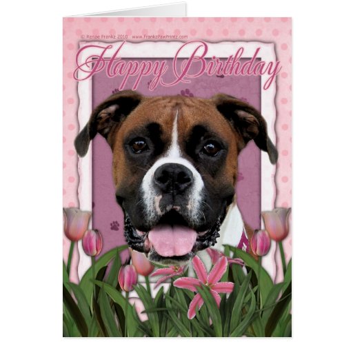 Happy Birthday - Boxer - Vindy Card | Zazzle