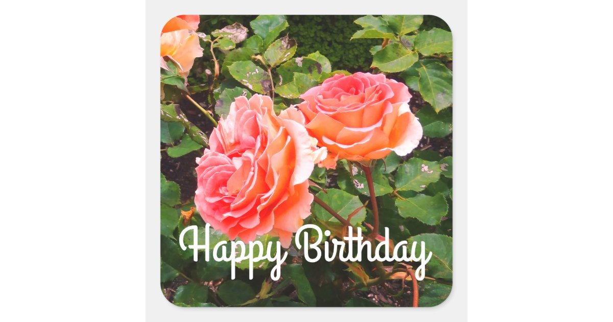 Happy Birthday Brass Band Rose #1-2 Stickers | Zazzle