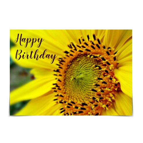 Happy Birthday Bright Yellow Sunflower Card