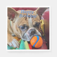 Happy Birthday Brindle Boston Terrier