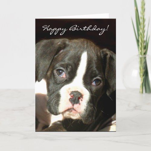Happy Birthday Brindle boxer puppy greeting card