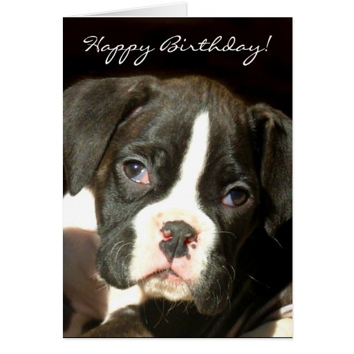 Happy Birthday Brindle boxer puppy greeting card | Zazzle