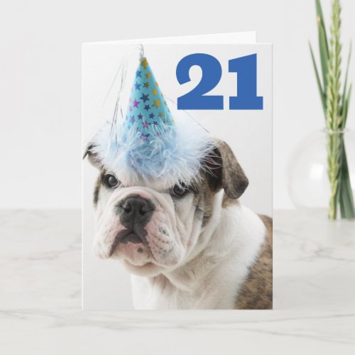 Happy Birthday  British Bulldog Puppy Card