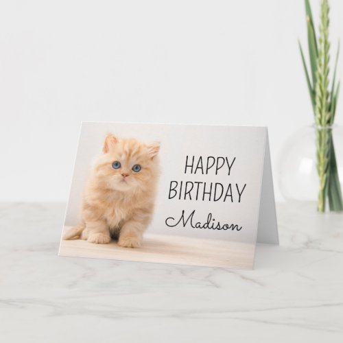 Happy Birthday  British Longhair Kitten Card